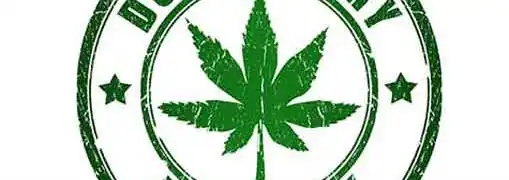 VC Investment in Pot Businesses