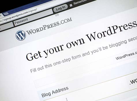 WordPress Vulnerability