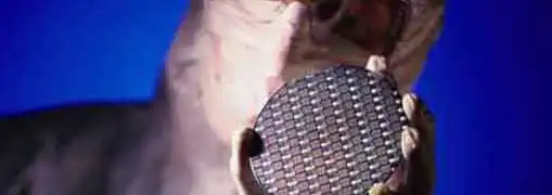 Entrepreneur Computer Power