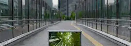 Entrepreneur Digital Technology