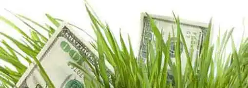 Entrepreneur Marketing Revenues