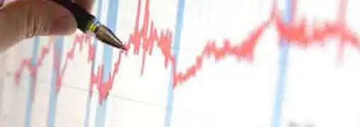 Entrepreneur Mixed Financial Results 