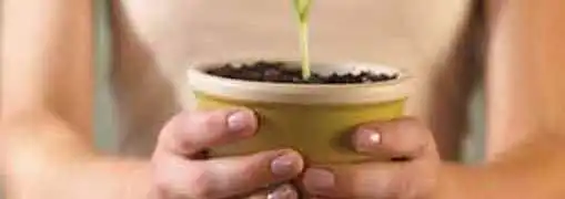 Entrepreneur New Business Potential