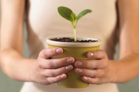 Entrepreneur New Business Potential