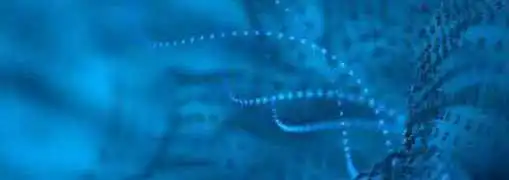 Entrepreneur Technology Potential