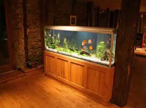 Aquarium Business