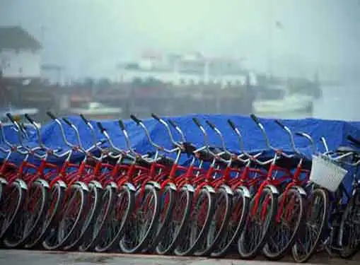 Bicycle Rental Business