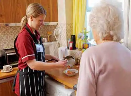 Disabled and Elderly Home Health Care Business