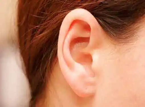 Ear Molds Business