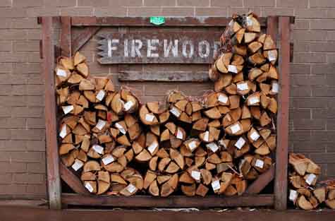 firewood business plan pdf
