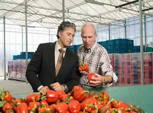Fruit and Vegetable Brokers and Dealers Business