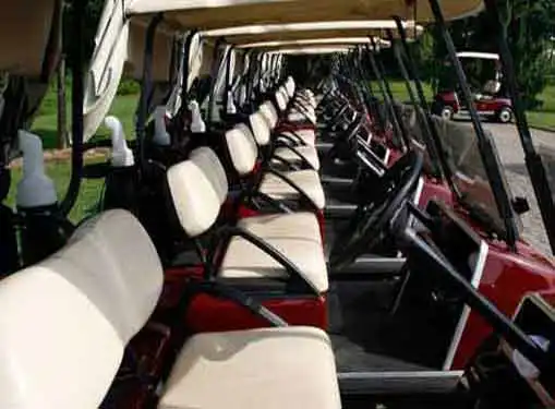 Golf Cart Business