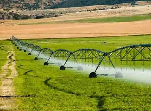 Irrigation Consultants Business