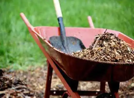 Mulch Business