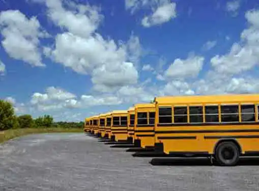 School Bus Transportation Business