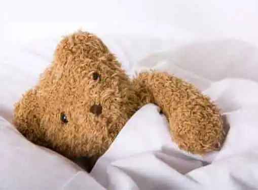 Teddy Bears Business