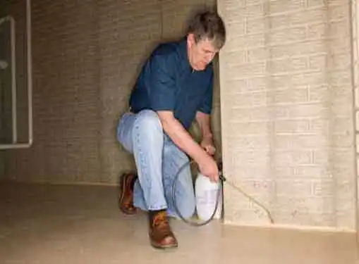 Termite Control Business