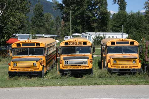 Used Buses Business