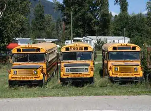 Used Buses Business