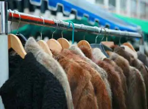 Used Fur Dealers Business