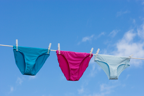 ladies undergarments business