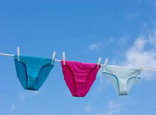 How to Start a Women's Underwear & Lingerie Wholesale & Manufacturers  Business - Business Ideas - Resources for Entrepreneurs - Gaebler Ventures  - Chicago, Illinois